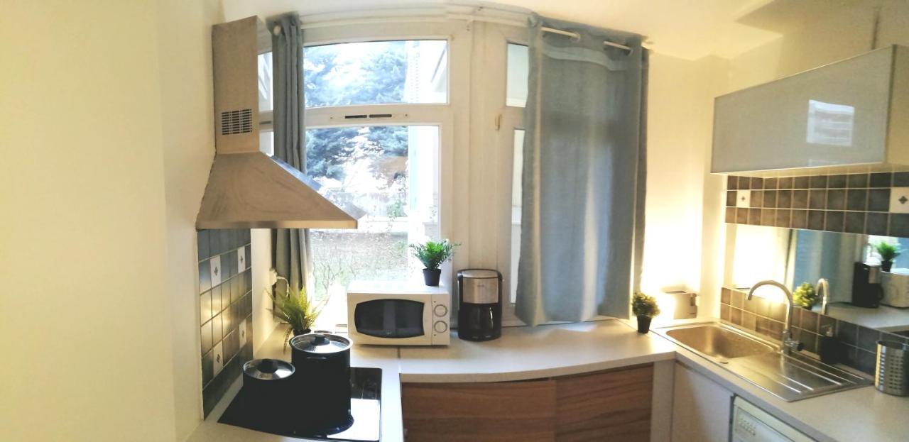 Residence Du Parc Des Tilleuls De Lyon 82 M2 Pkg Free 외부 사진