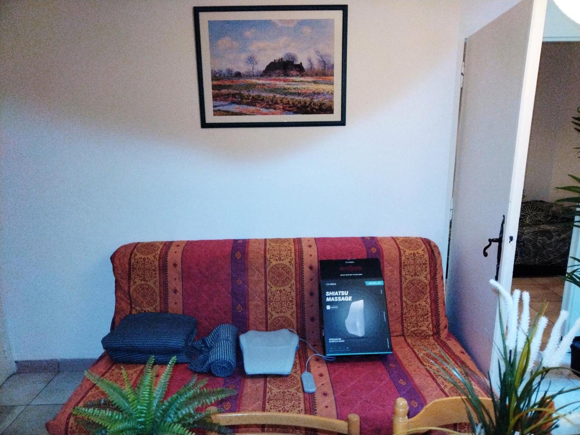 Residence Du Parc Des Tilleuls De Lyon 82 M2 Pkg Free 외부 사진